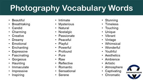 different words for photography.
